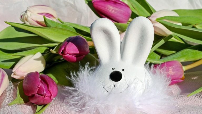 Hase mit tulpen